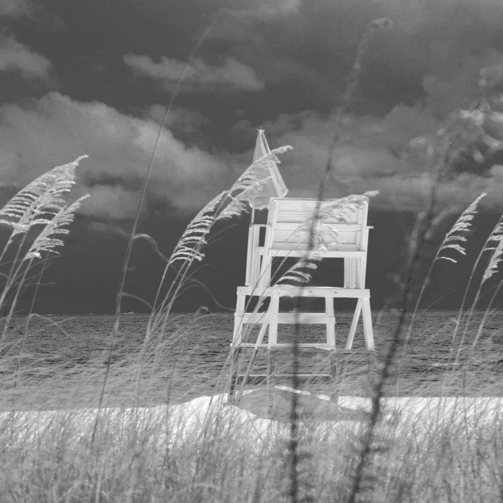 Meet your Posher, Josie